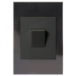 Isolator 1L 4 X 2 50A 2Pole Bi Chacoal Blck