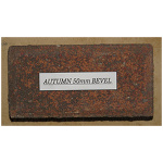 Paving Brick Bevel Autumn