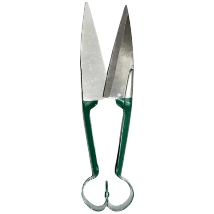Garden Shear Grass Bi