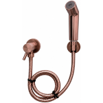 Blu-Motion Trigger Spray Rose Gold Bs00rs